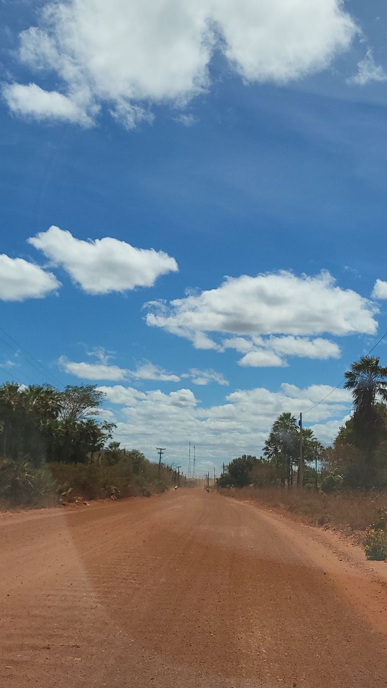 Dirt road through the sertão on this Piauí road trip, on the way to Caracol