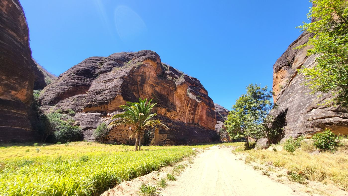 Dirt road through the canyon, tree in foreground