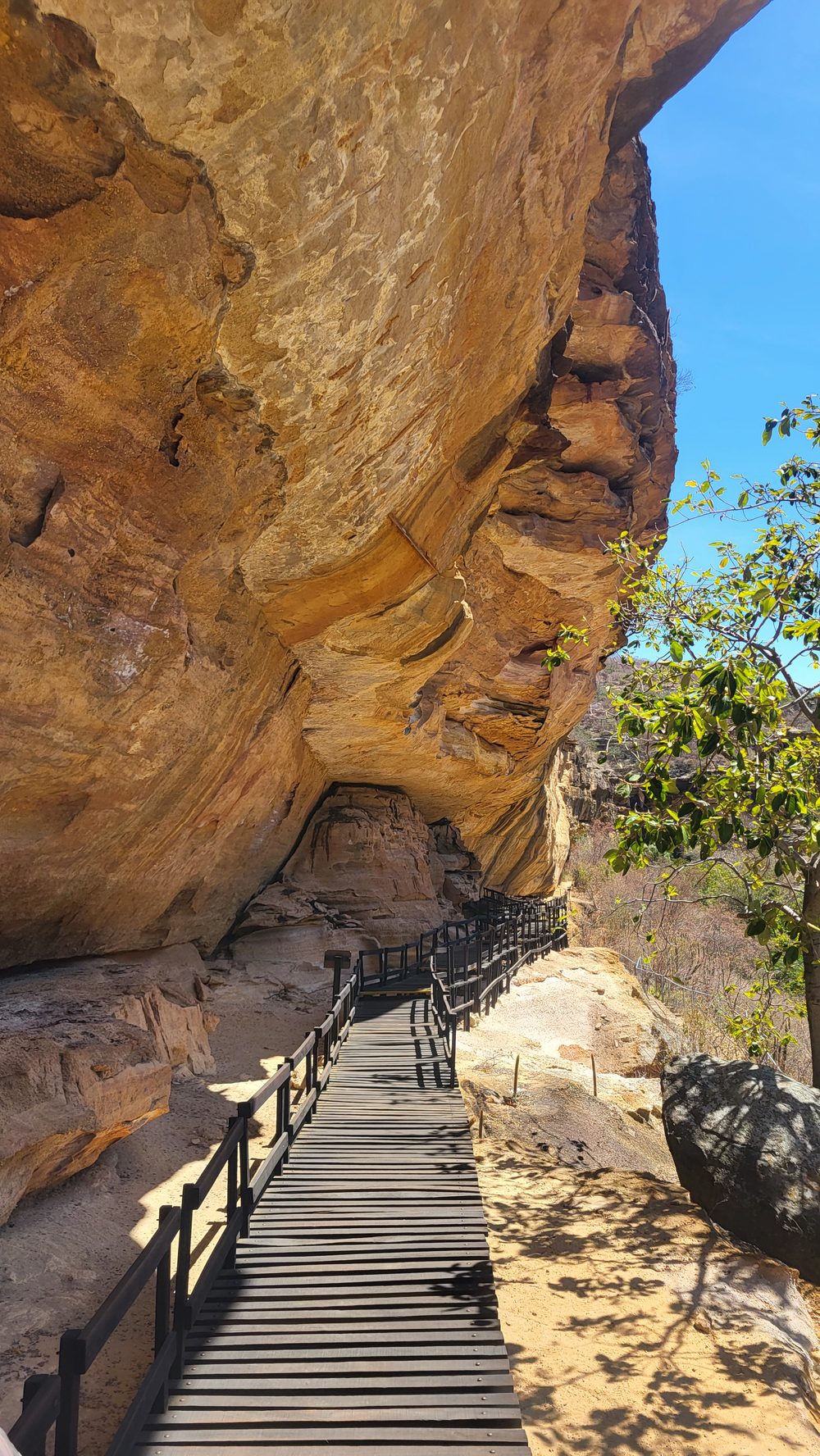 Wooden boardwalk trail running beneath a huge sandstone rock-shelter overhang, Serra da Capivara